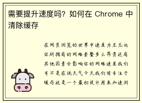 需要提升速度吗？如何在 Chrome 中清除缓存 